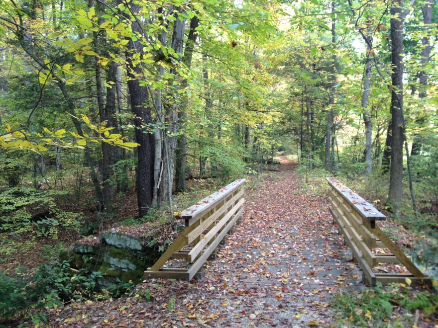Arcadia Wildlife Sanctuary in Easthampton offers diverse landscapes, interpretive programs, and a sensory trail. Families can enjoy self-directed learning with the Arcadia Tree and Habitat Quest.