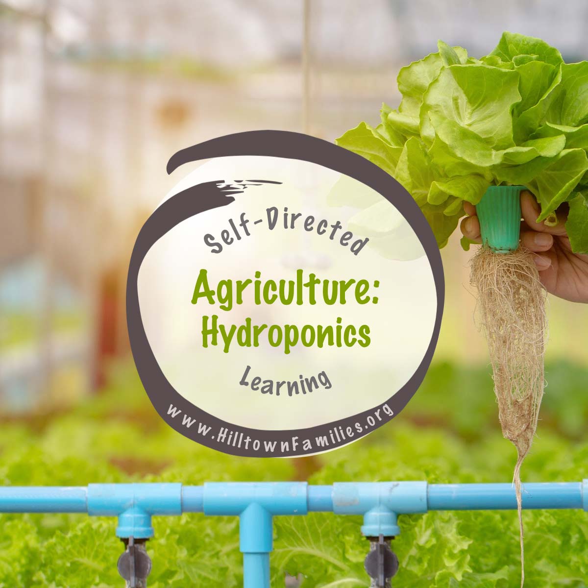 Hydroponics