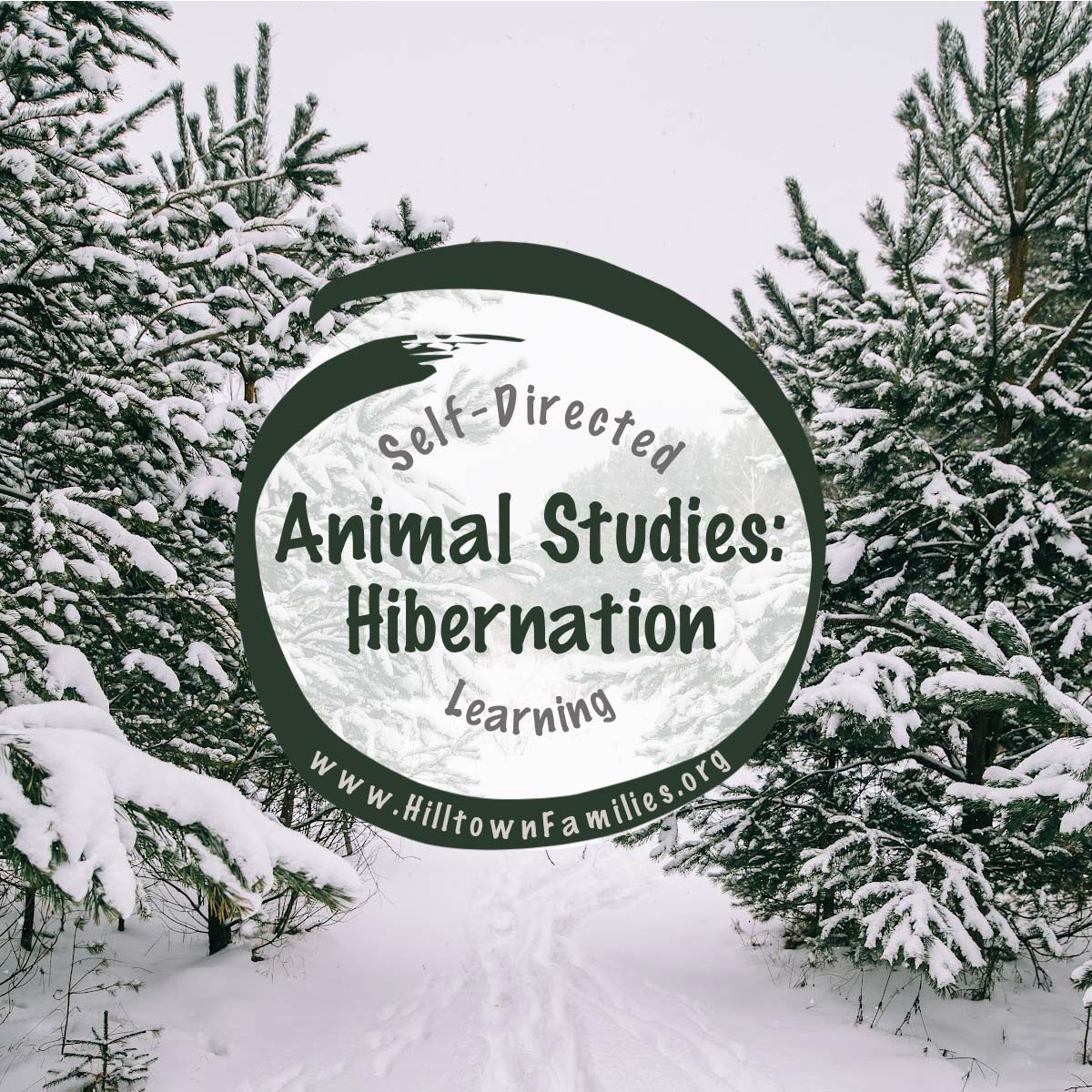 Hibernation