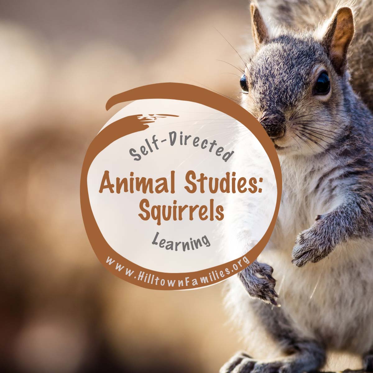 Squirrels