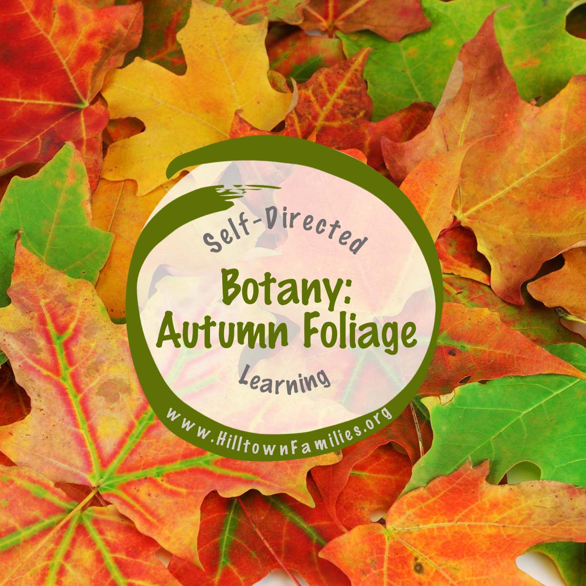 Autumn in Western Massachusetts