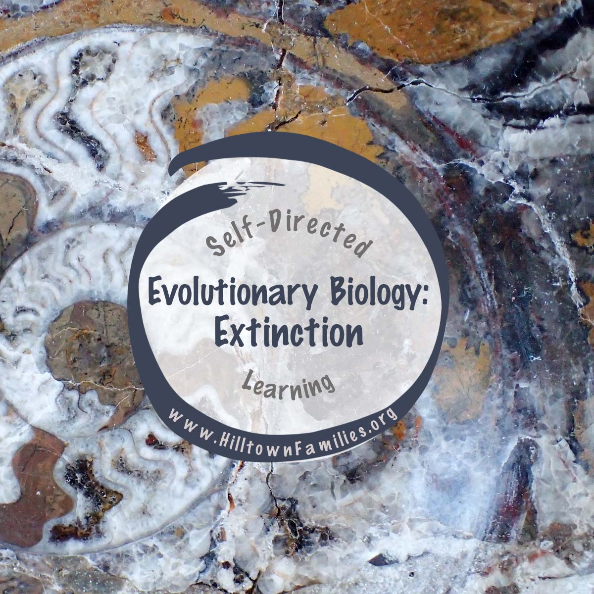 Extinction