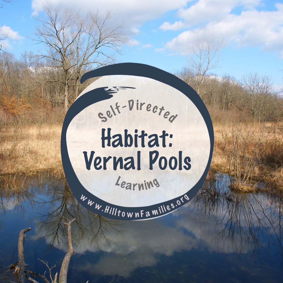 Vernal Pools
