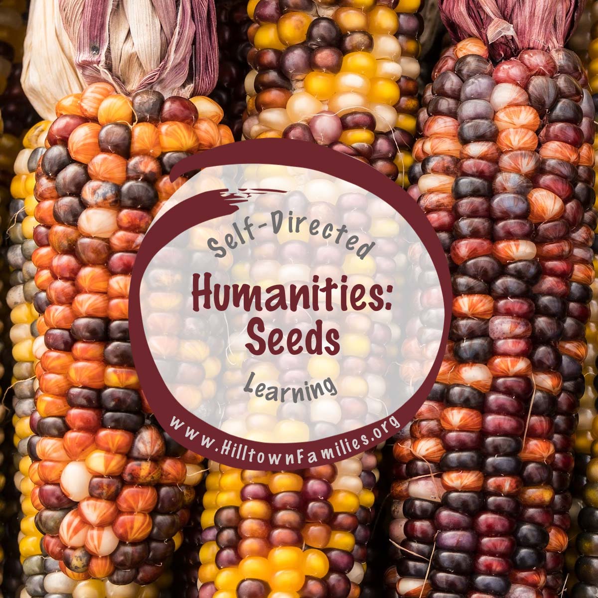 Explore the meaning and history of seeds this autumn—culturally, symbolically, and scientifically—in nature and daily life.