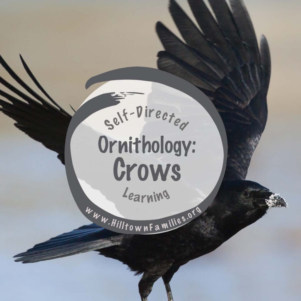 Crows