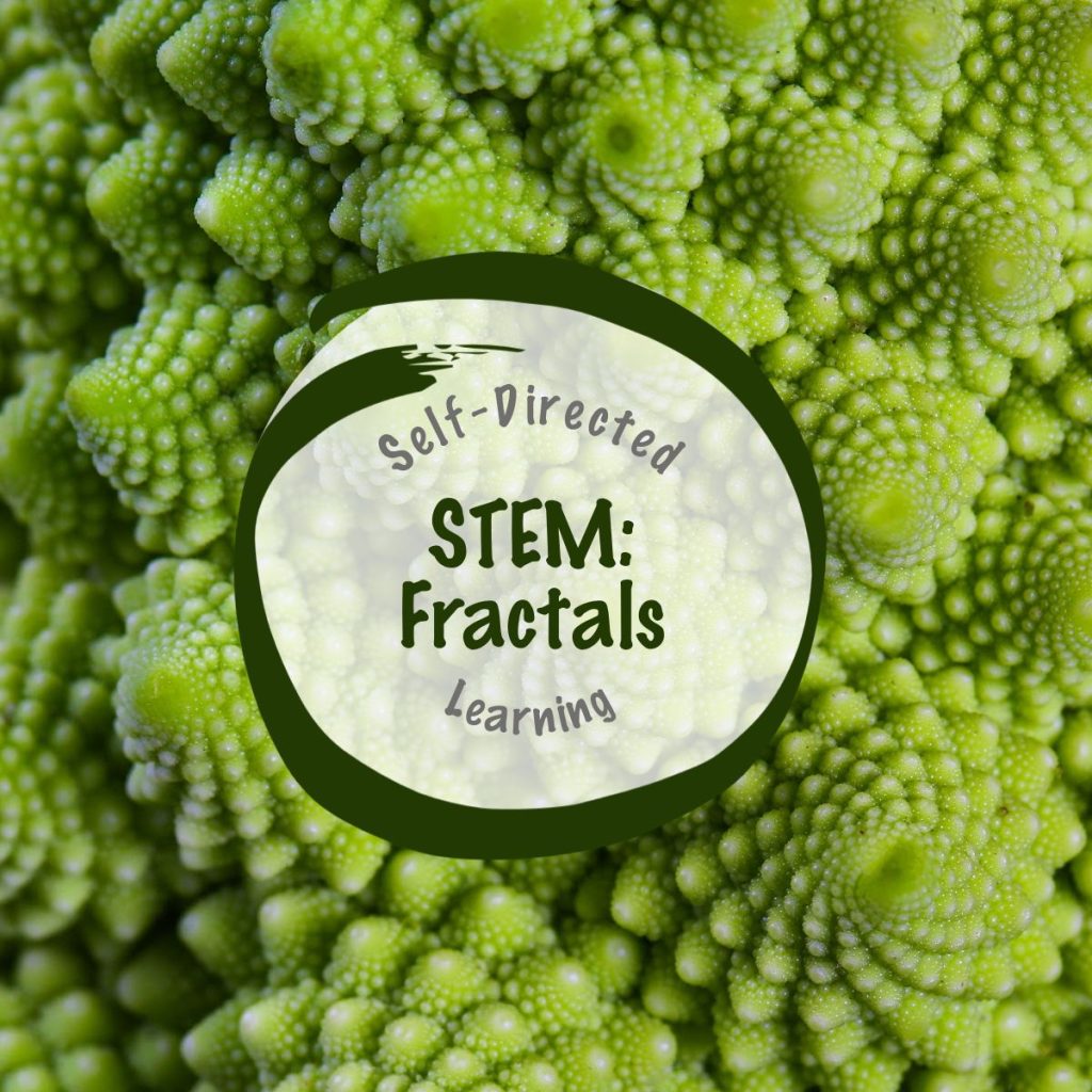 Fractal