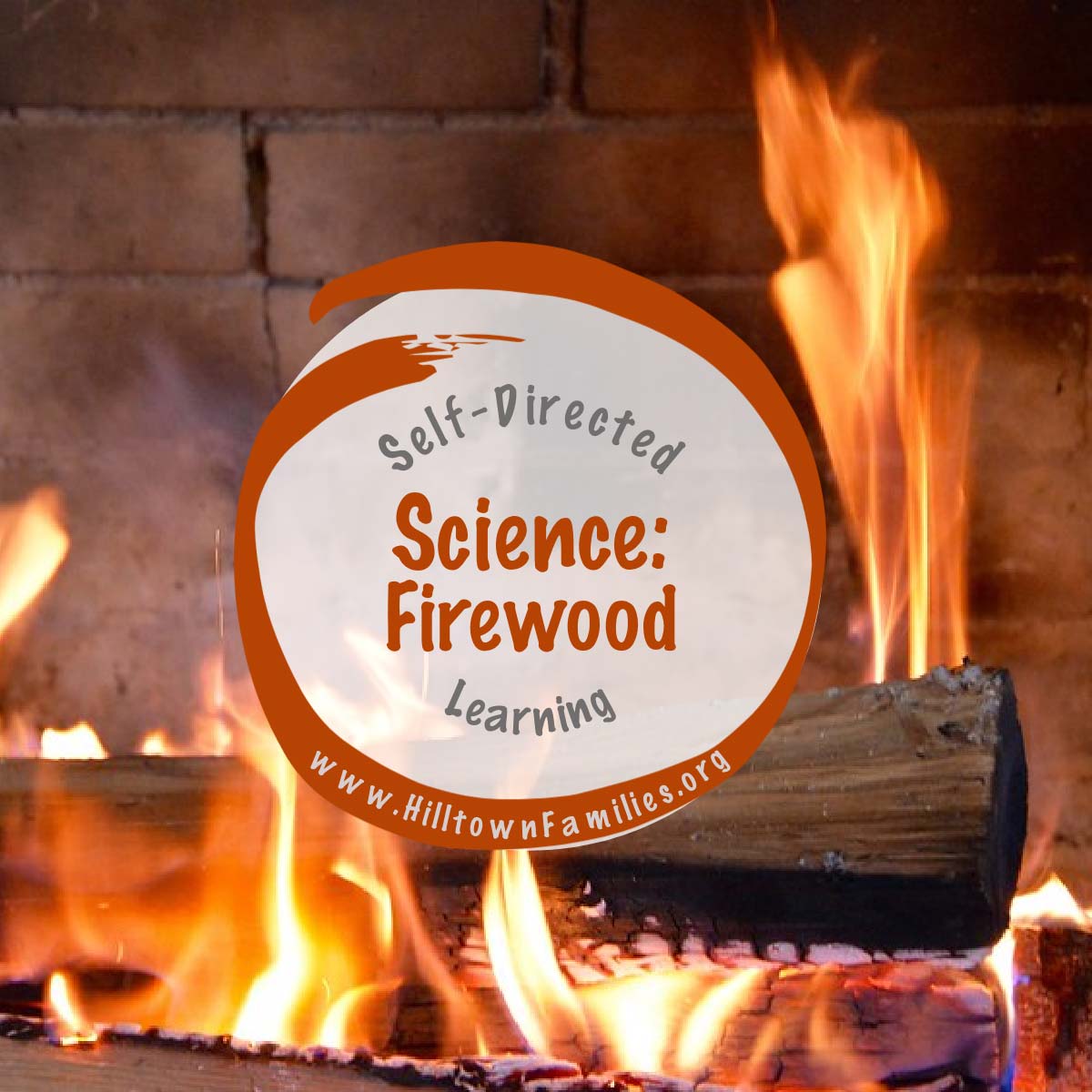 Firewood