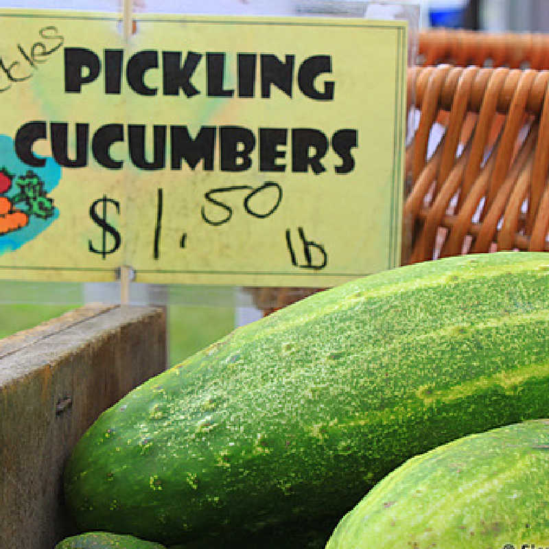 Farmers Market Pickling Cucumbers Food