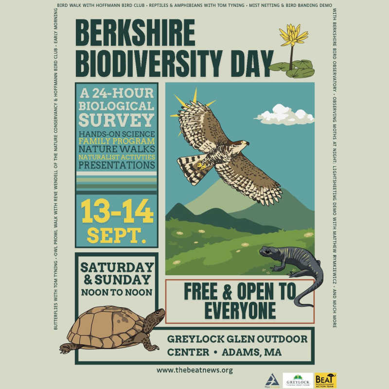 Poster for Berkshire Biodiversity Day at Greylock Glen Outdoor Center in Adams, MA, on September 13–14. Features illustrations of a hawk, turtle, salamander, and flower, and highlights a 24-hour biological survey with nature walks, hands-on science, and family programs. Free and open to all.