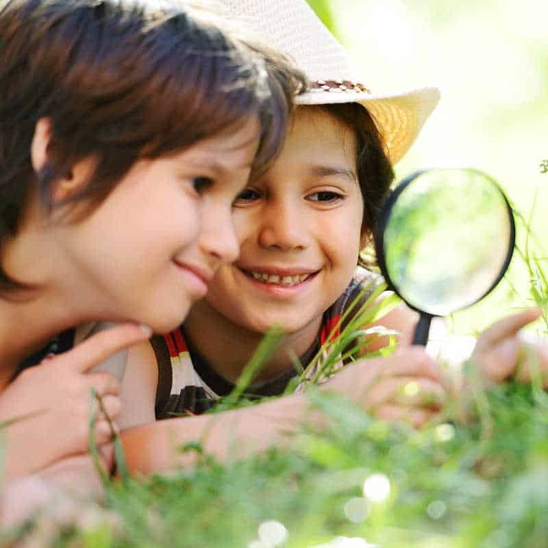 Two smiling children lying in the grass, using a magnifying glass to explore nature up close on a sunny day.