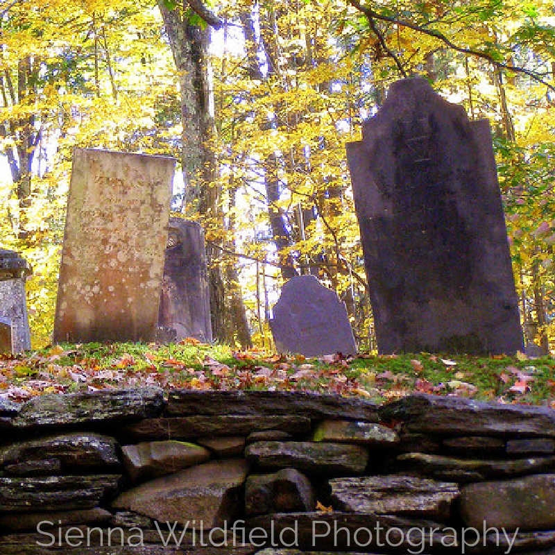 Weathered gravestones standing behind a stone wall in a forest cemetery during fall.
