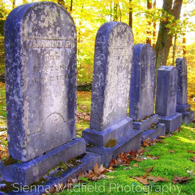 A line of old gravestones in a wooded cemetery with autumn leaves.
