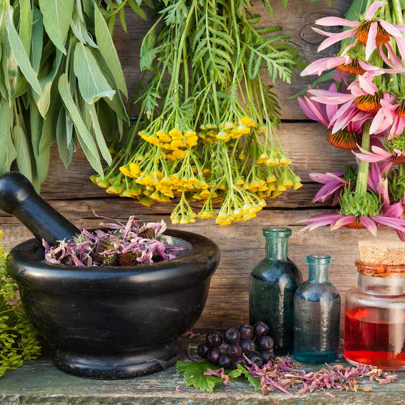Dried herbs, flowers, and glass bottles arranged with a mortar and pestle, representing herbal medicine traditions.