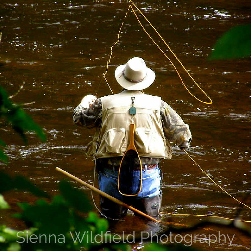 Person wearing a hat and fishing vest fly fishing in a river, holding a rod with line arcing through the air, surrounded by green foliage.