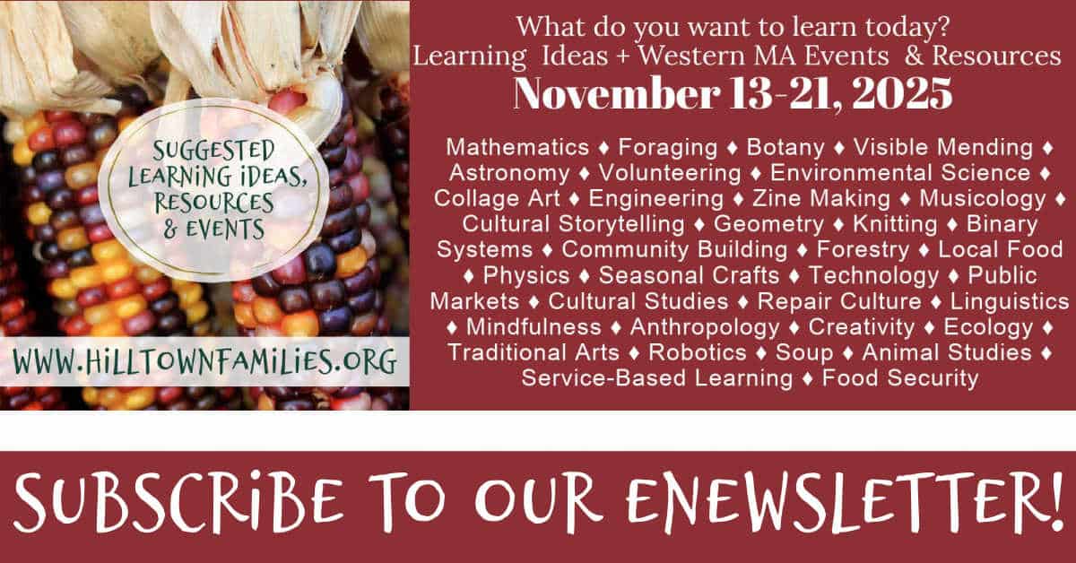 Western Massachusetts learning guide for November 13–21, 2025, featuring colorful Indian corn and a list of study topics such as foraging, environmental science, and cultural storytelling.