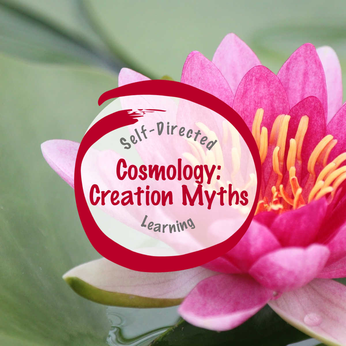 Cosmology Creation Myths