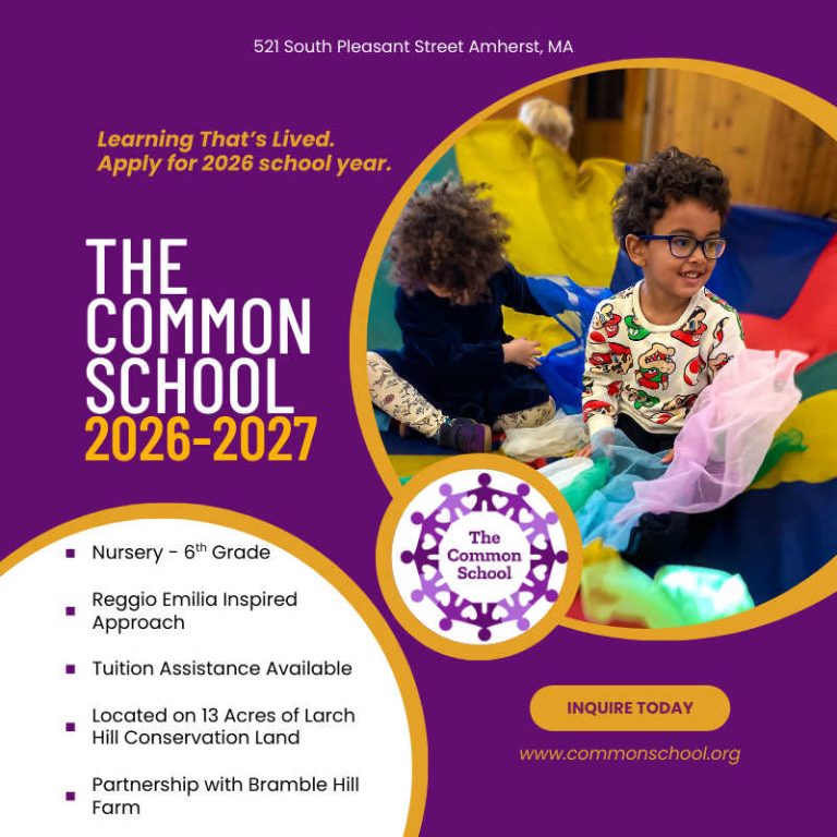 2026/2027 The Common School