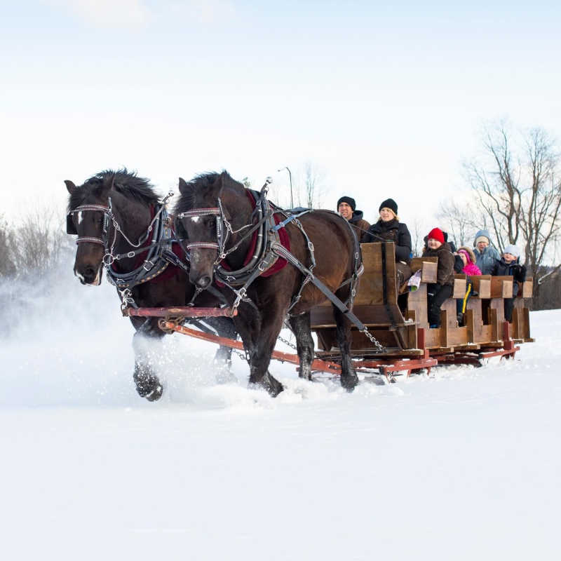 Sleigh Rides at Clay Hill Farm