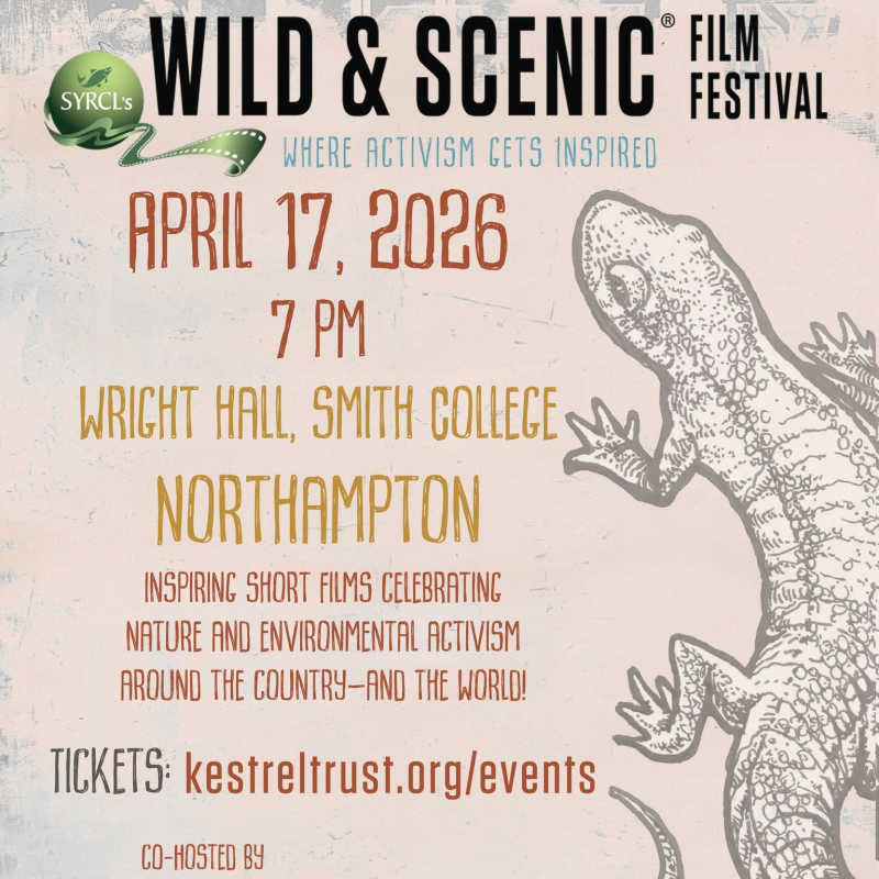 Wild & Scenic Festival in Northampton