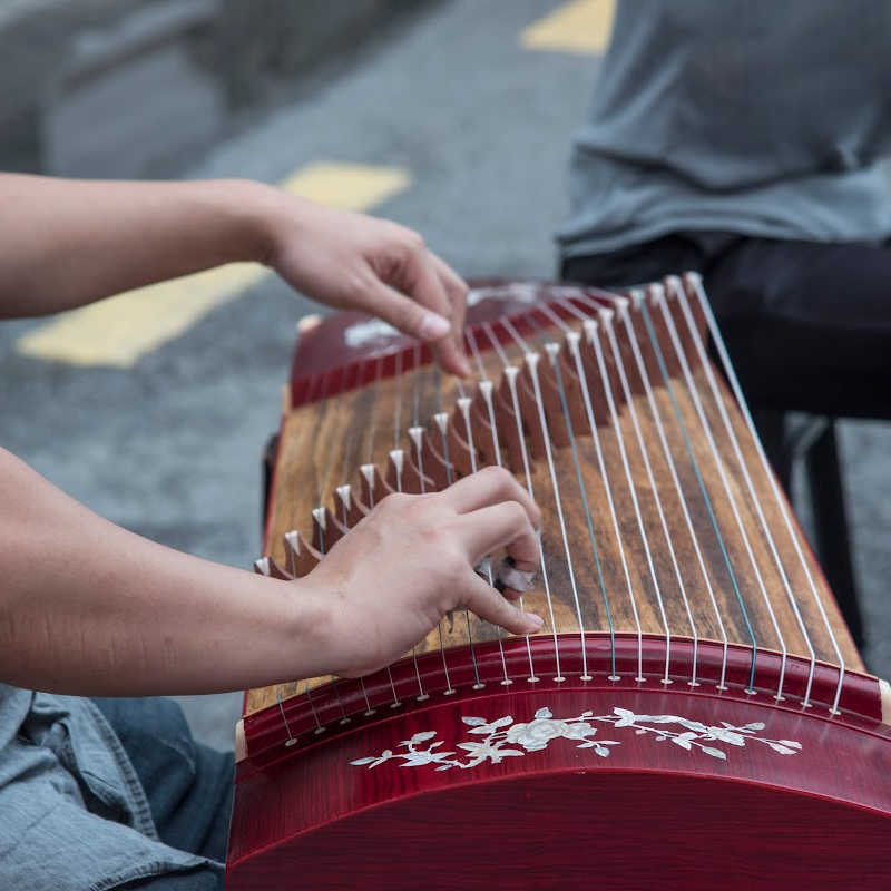 Close-up of hands plucking strings on a traditional guzheng, a wooden Chinese string instrument.