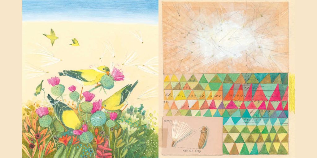 Melissa Sweet, Artwork for Goldfinches by Mary Oliver (Viking Books for Young Readers). © 2026 Melissa Sweet