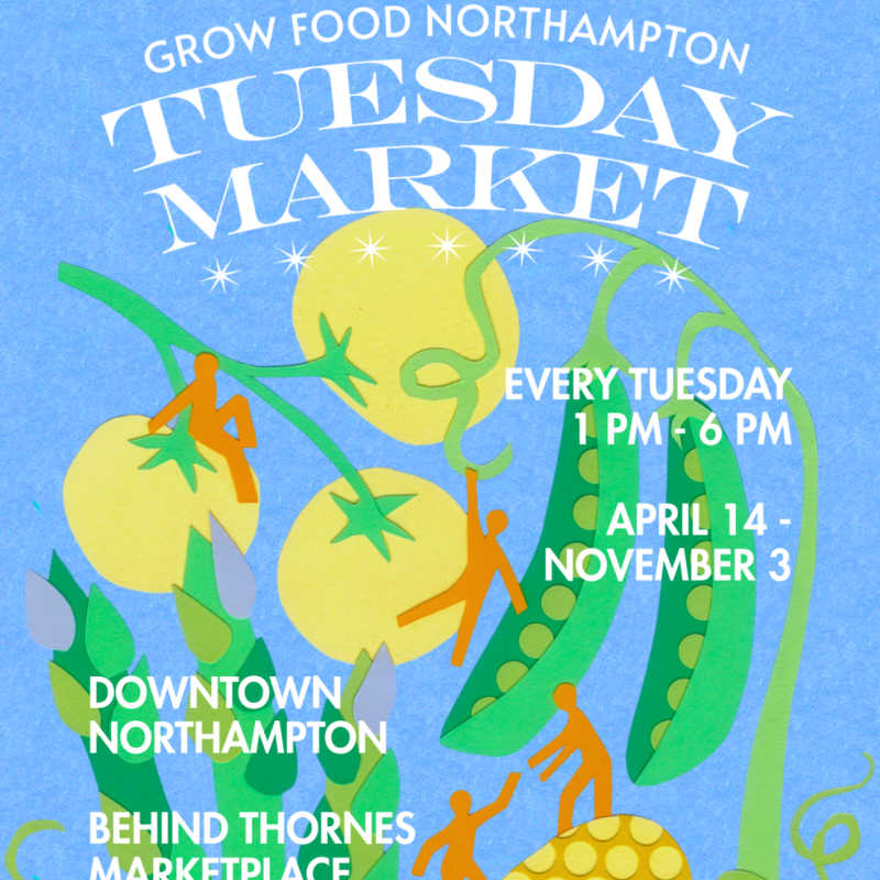 Illustrated poster with vegetables and figures harvesting, listing Tuesday market hours in downtown Northampton.