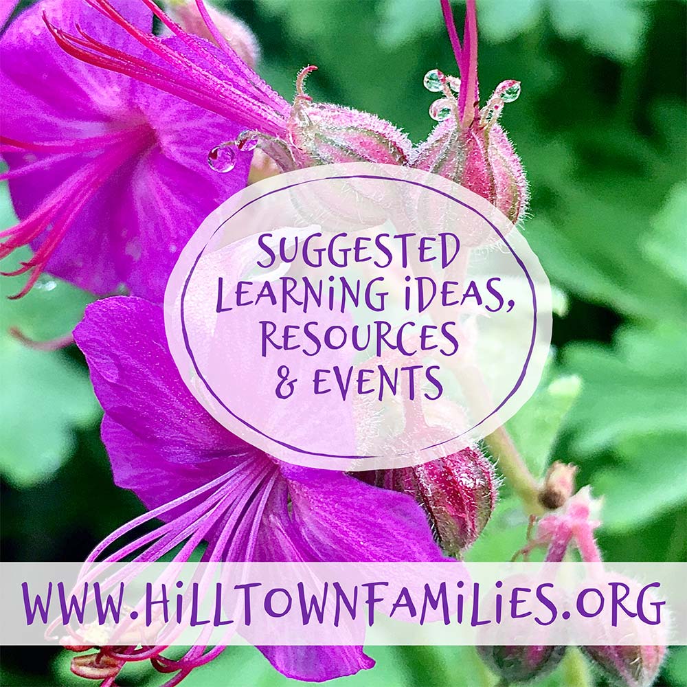 Close-up of vibrant pink wild geranium blossoms with dew-covered petals and buds. Overlaid text reads “Suggested Learning Ideas, Resources & Events” and includes the Hilltown Families website address.