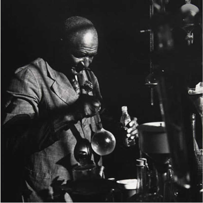 Image: Prentice Herman Polk, George Washington Carver (detail), c. 1930; printed 1981, gelatin silver print. The Clark, 2024.5.2