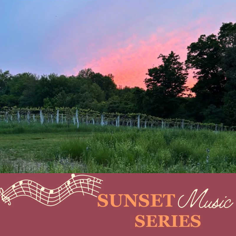 Glendale Ridge Vineyard